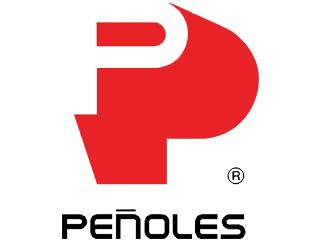 Cliente Grupo ALDIZA